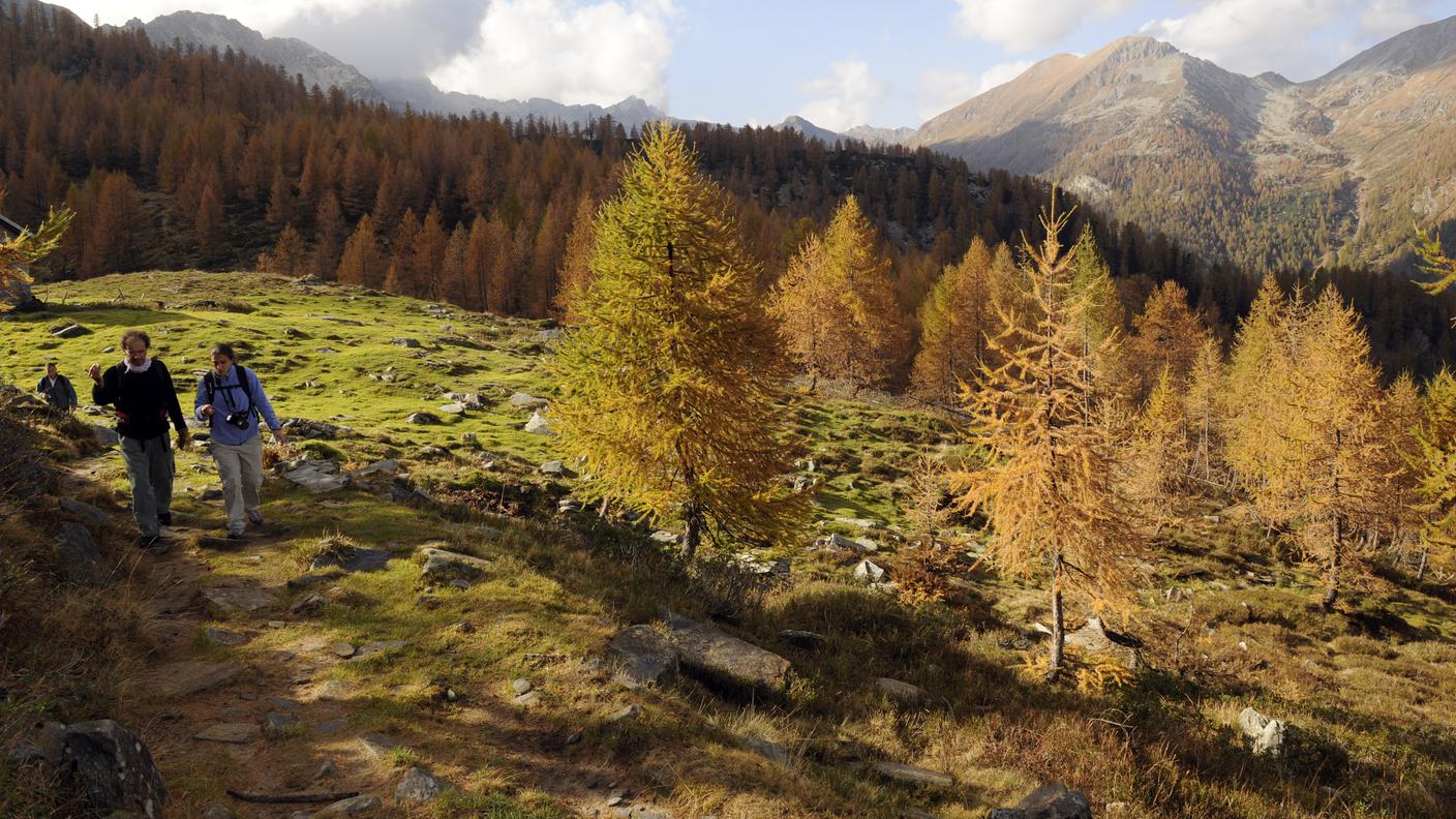 Valle di Vergeletto