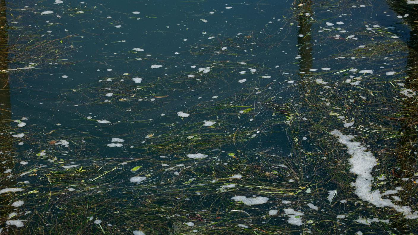 acqua inquinata