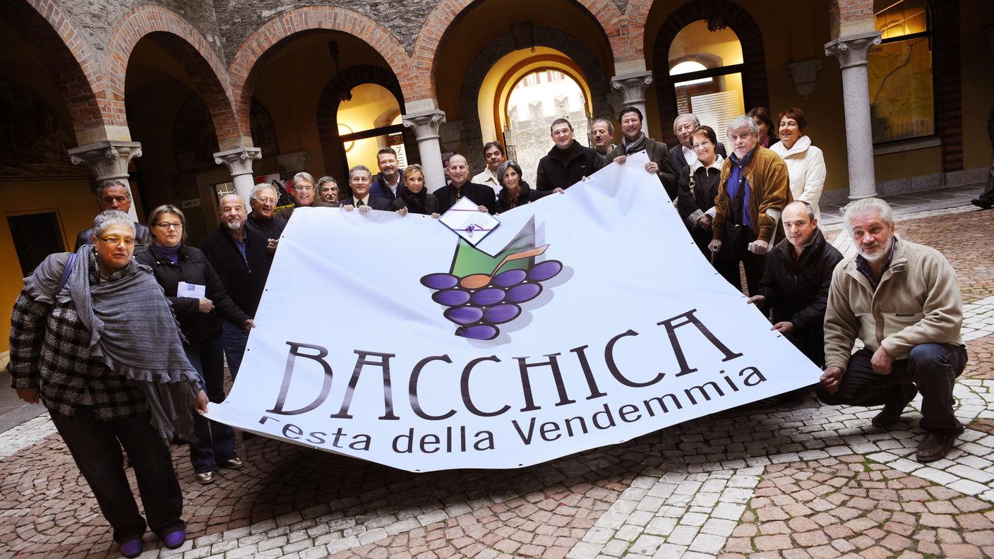 bacchica9 tp.jpg