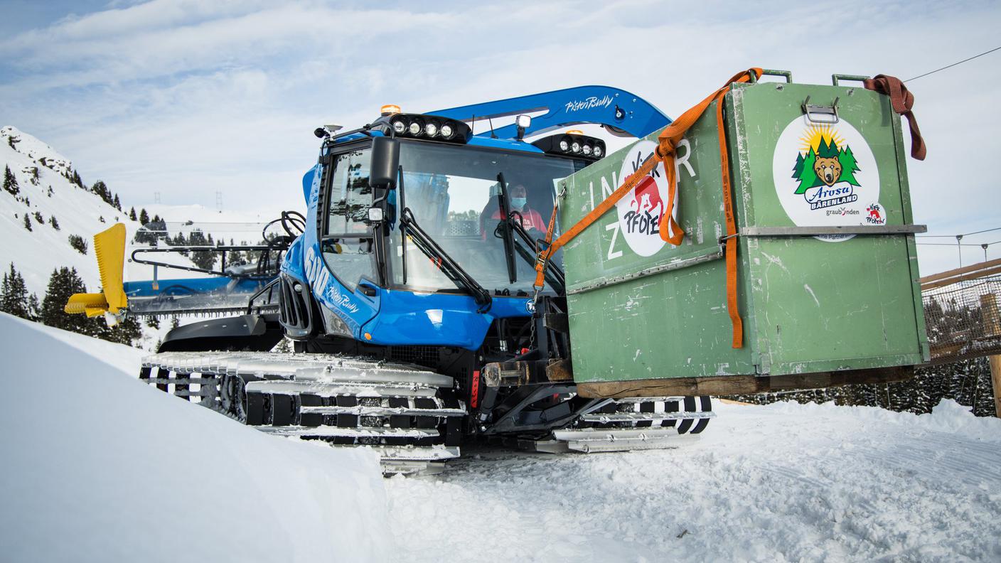 Un arrivo in mezzo alla neve