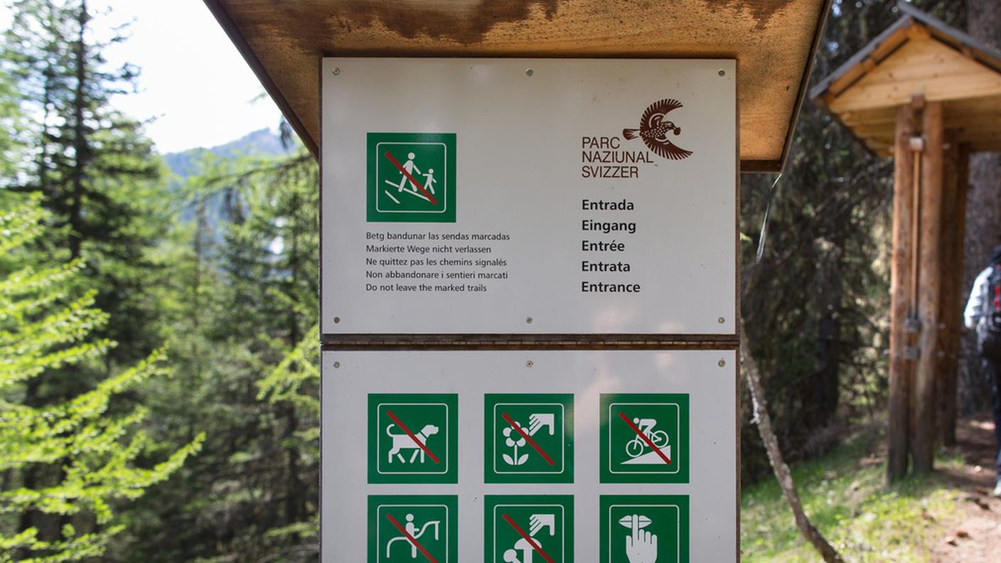 Rischia di riaccendersi la polemica di un anno fa, quando ambientalisti e vertici della riserva naturale avevano bollato la decisione di estirpare il branco del Fuorn come eccessiva e dannosa per l’ecosistema