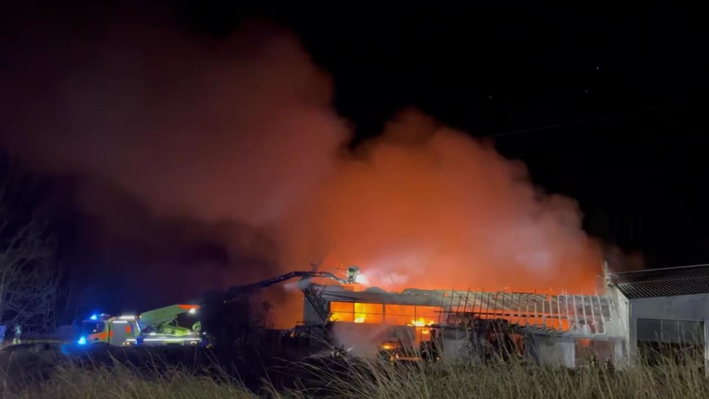 5000_f79138d7dfde71d9d780d3ea253a7635