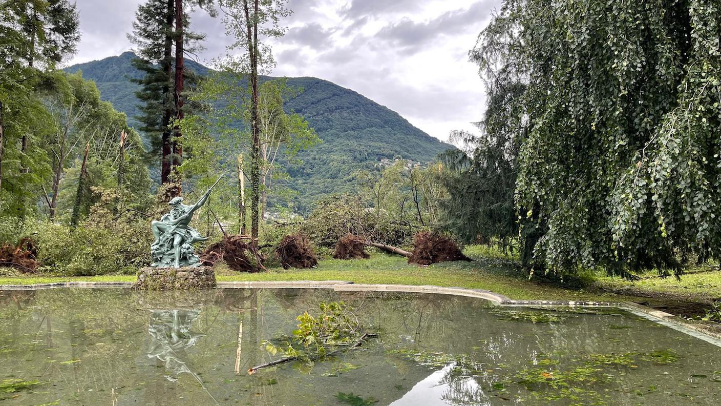 Il bosco di Trevano devastato dal temporale