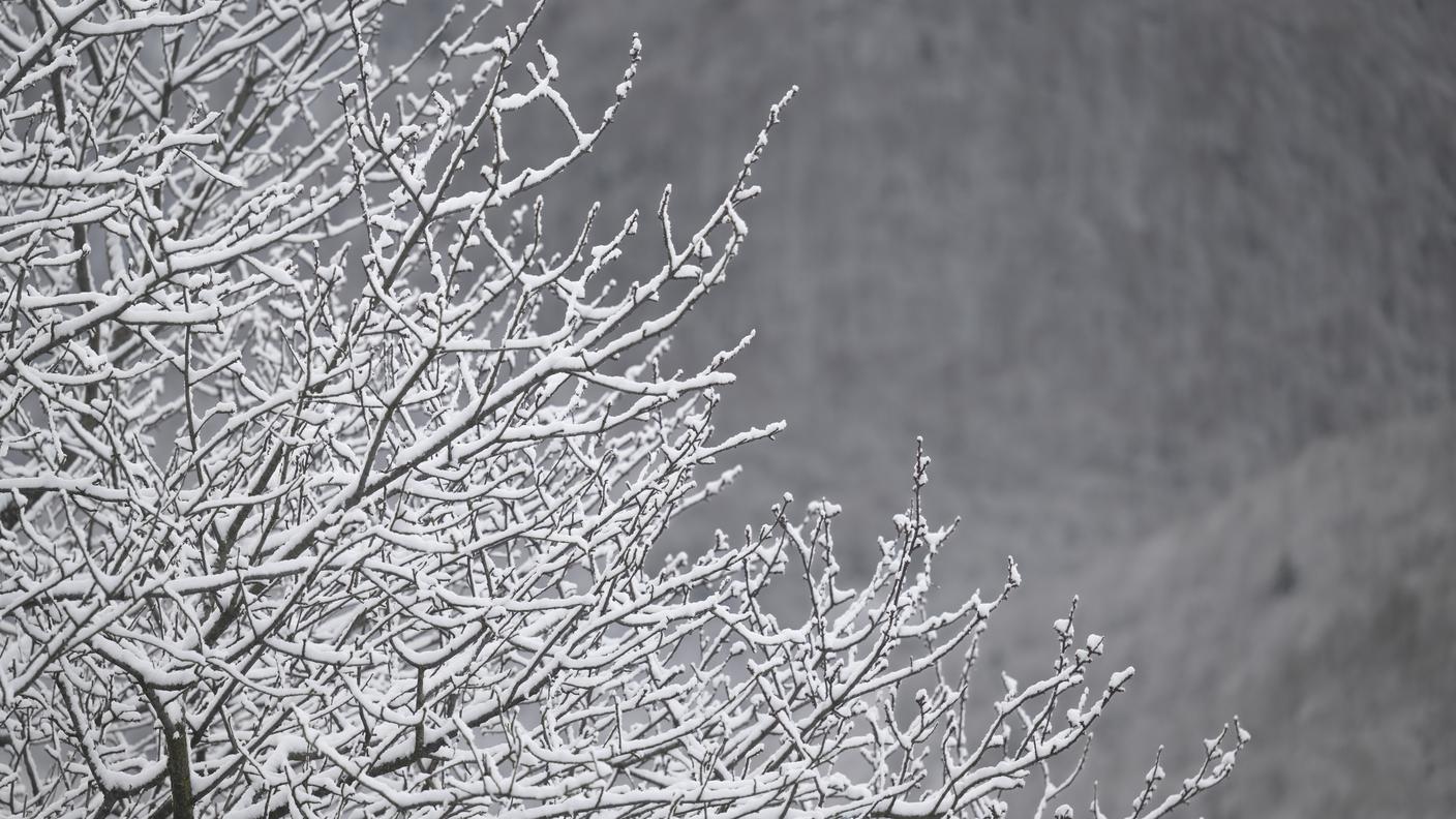 Per oggi MeteoSvizzera prevede un’estesa nuvolosità sul versante sudalpino, dove non si vedrà nessun raggio di sole...