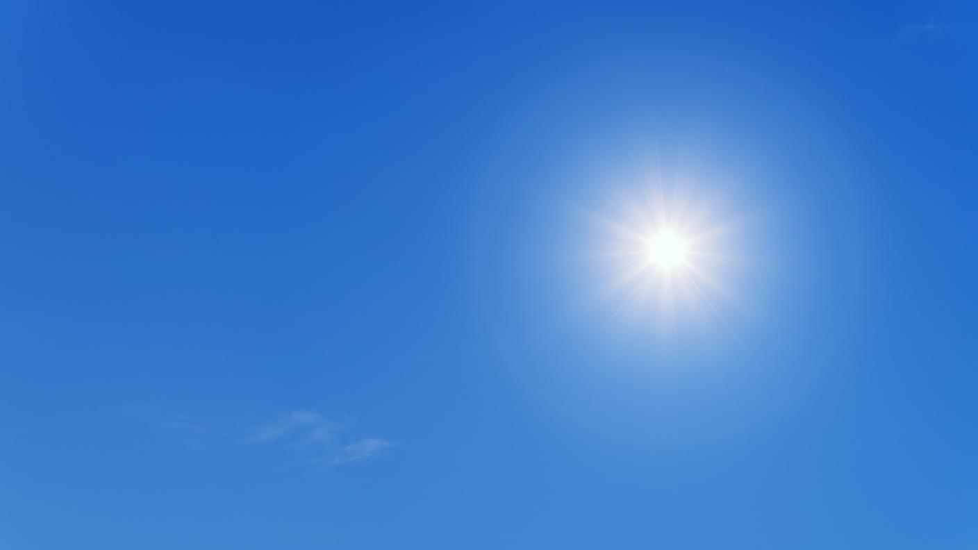 Sole