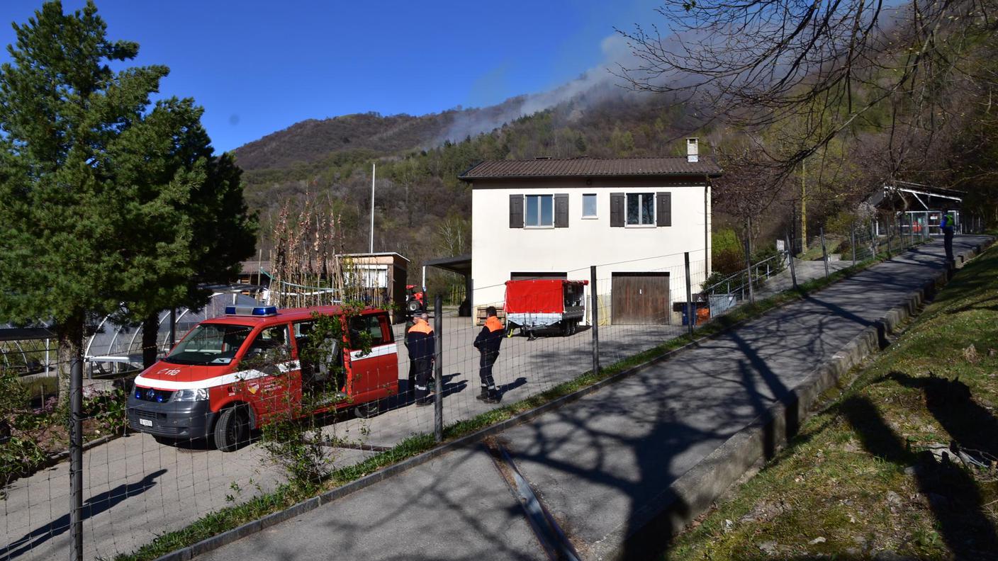 L'incendio boschivo ripreso dalla zona del vivaio forestale di Lattecaldo