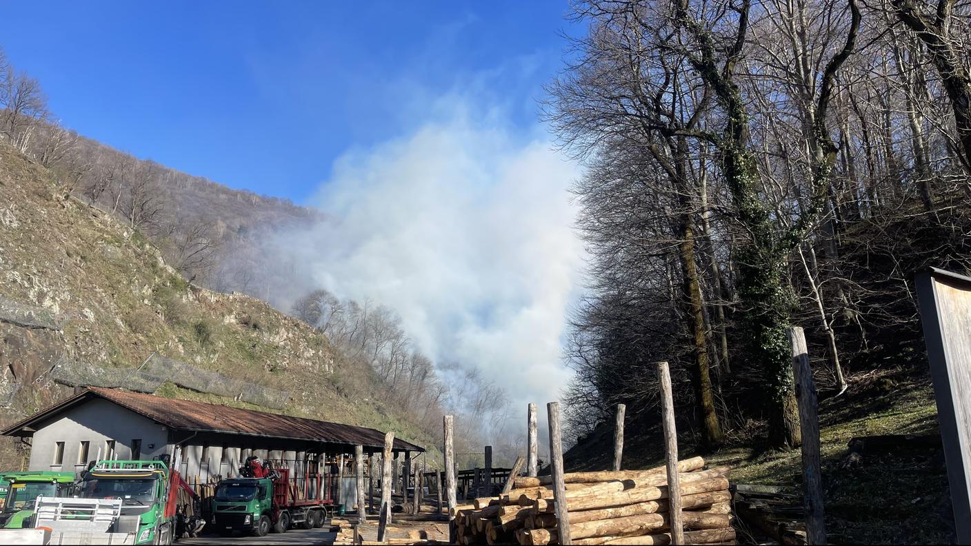 Il fumo che si alza dal bosco