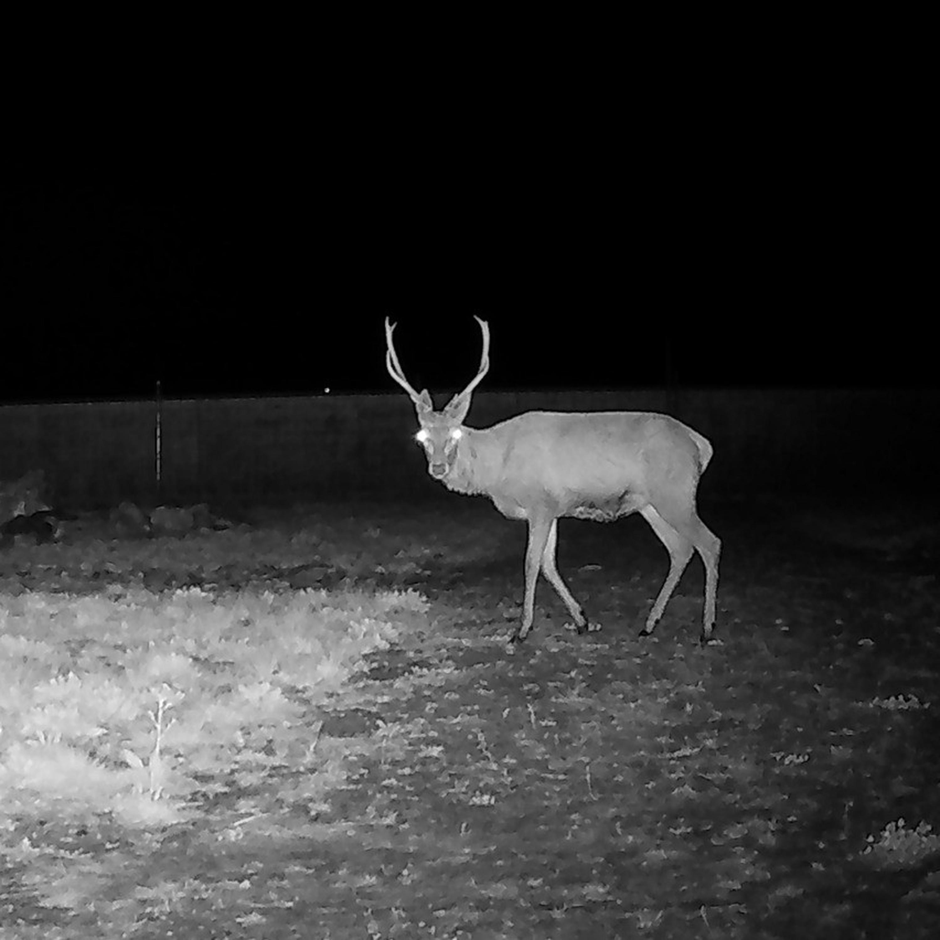 Ambiente, acqua e biodiversità: I fiumi tornano a vivere