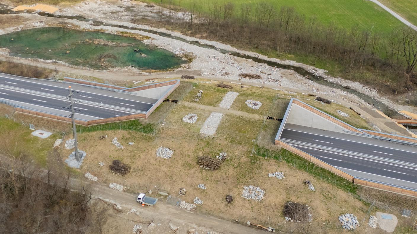 Il ponter realizzato sopra l'A13 per permettere agli animali di muoversi liberamente