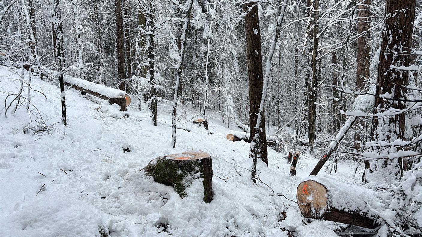 Un "gioco" che è costato una denuncia a tre giovani grigionesi