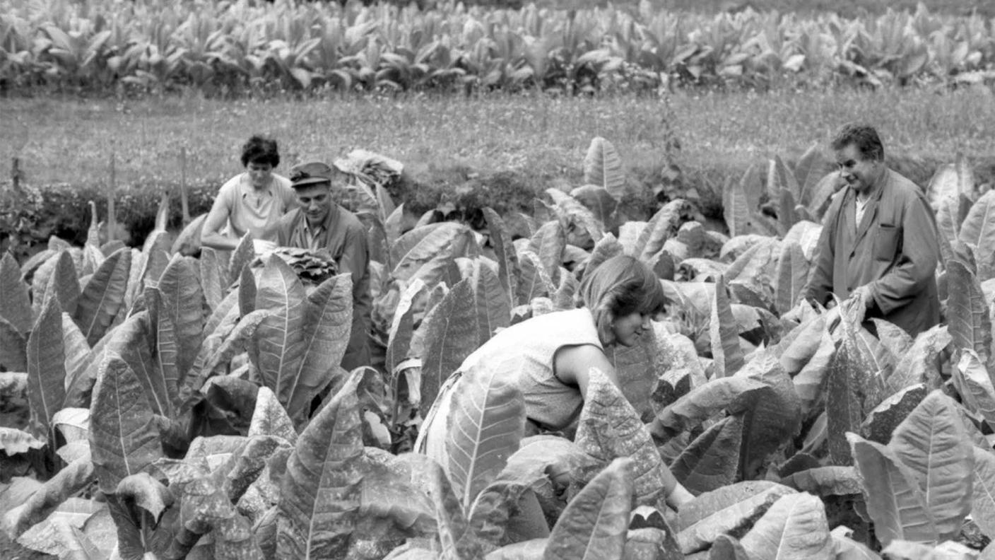 Nel Museo c'è pure il ricordo di persone che hanno lavorato nel settore, scrivendo pagine importanti della storia economica di Brusio