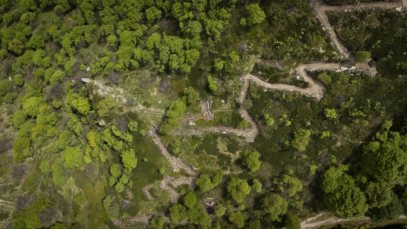 Monte Lema: inaugurazione nuovo sentiero didattico e turismo in vetta. Nella foto uno scorcio del nuovo sentiero "I segreti del Monte Lema".