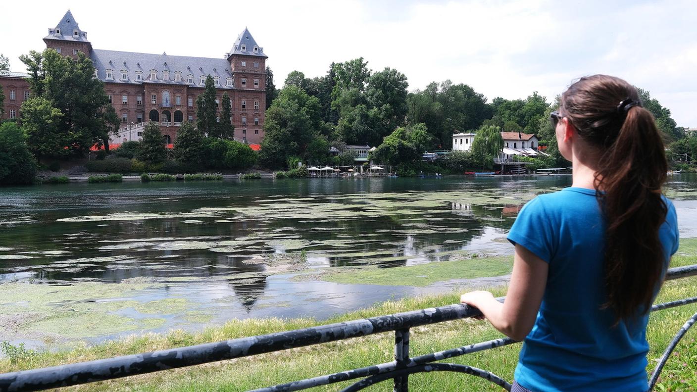 Il fiume Po, qui lo scorso 8 giugno a Torino ricoperto da alghe, ha oggi una portata inferiore del 50% rispetto ai valori normali