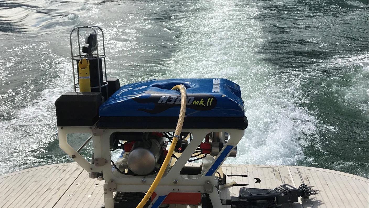 Il robot usato per le ricerche
