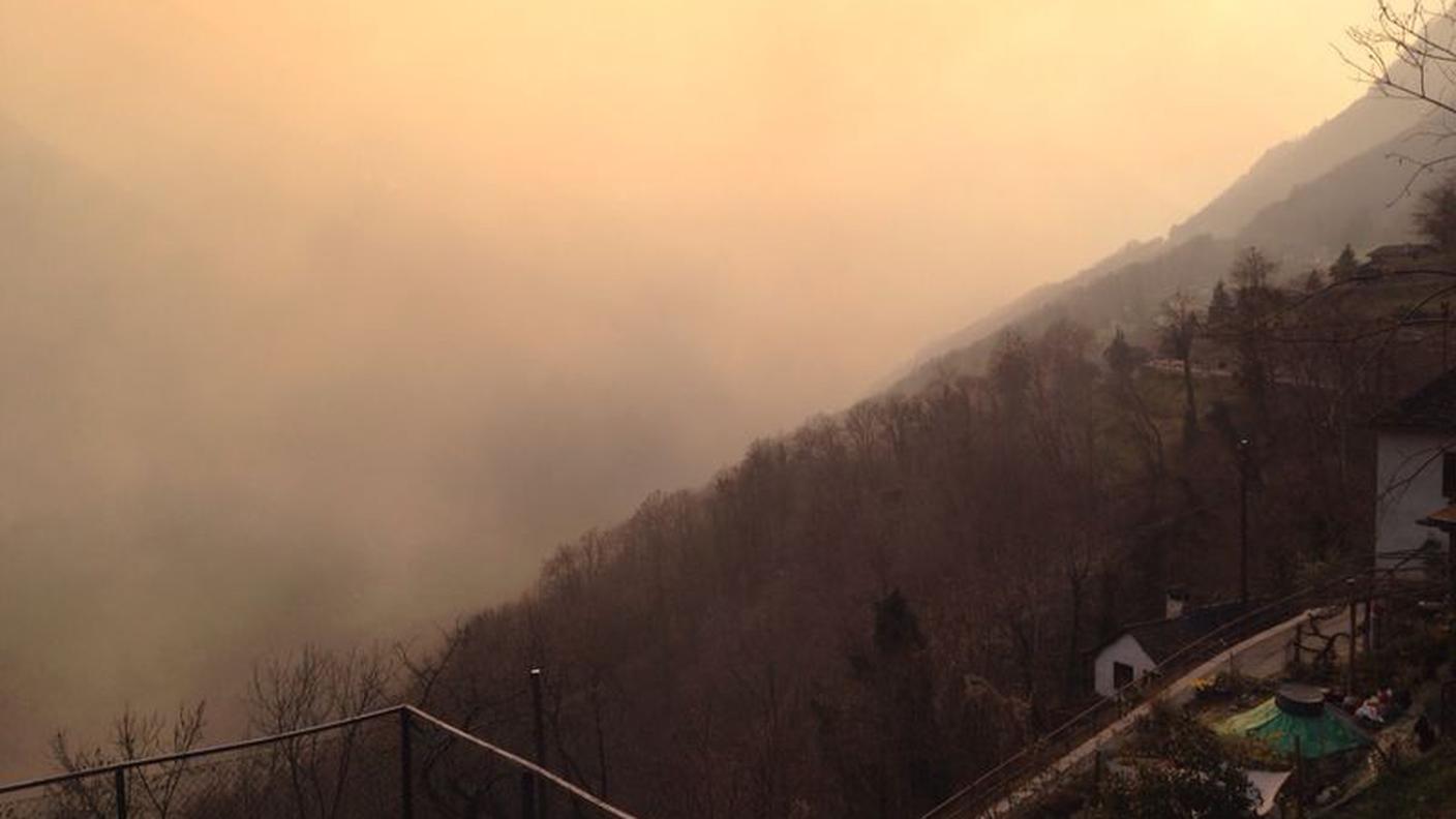 incendio onsernone_lino2.JPG