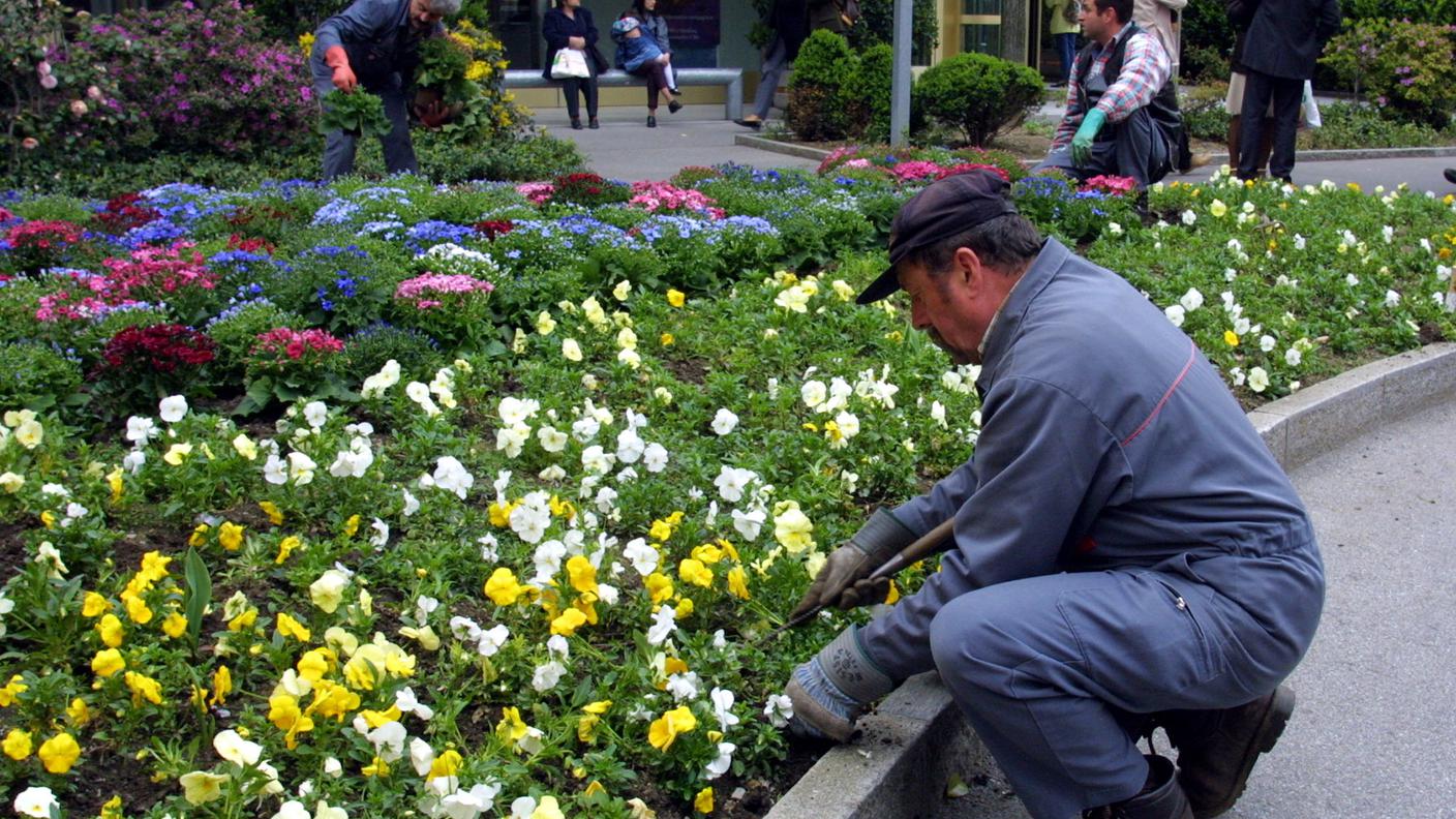 giardinieri paesaggisti giardinaggio tp.jpg