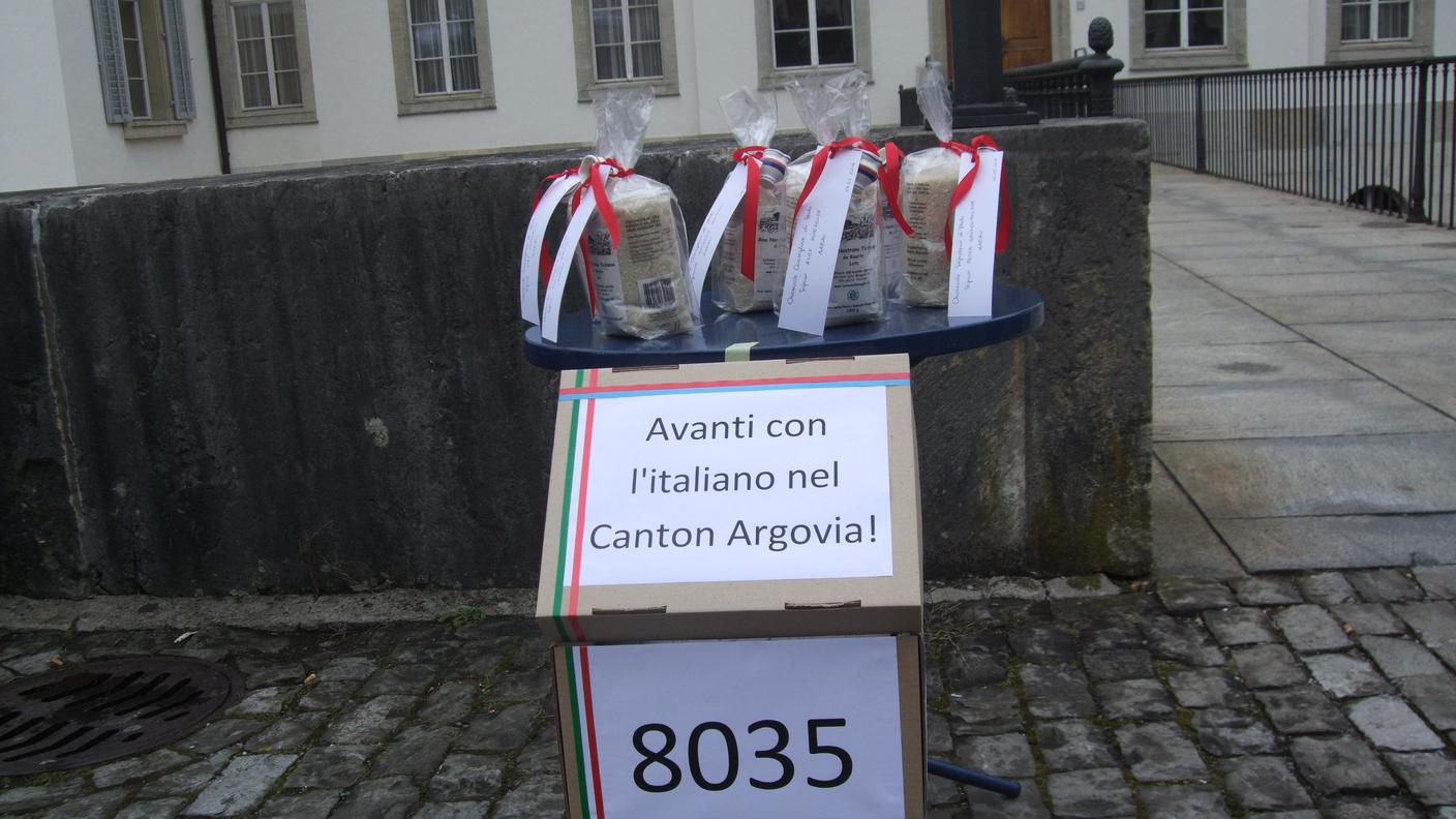 Firme italiano argovia erba 3.JPG