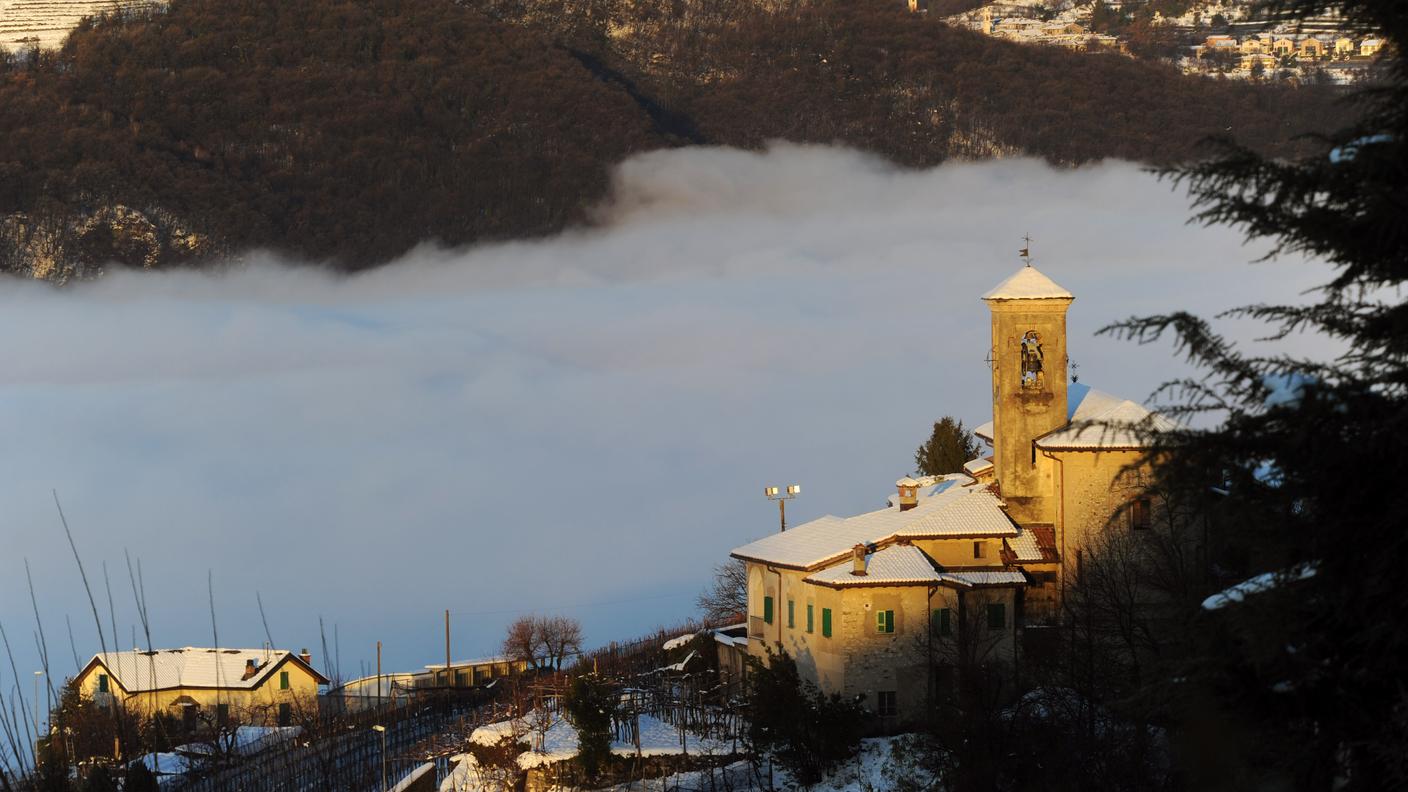 Salorino