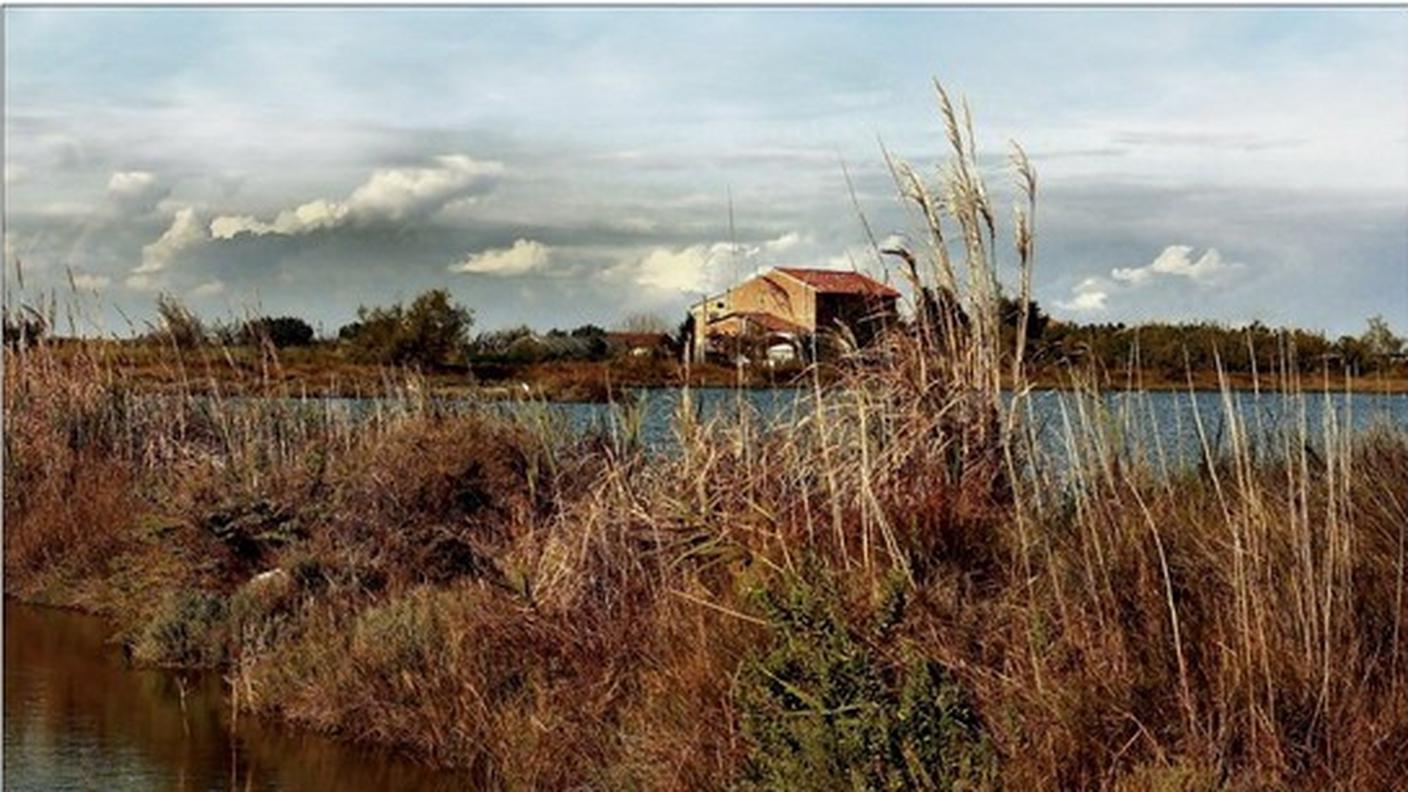 Laguna Veneta 2.jpg