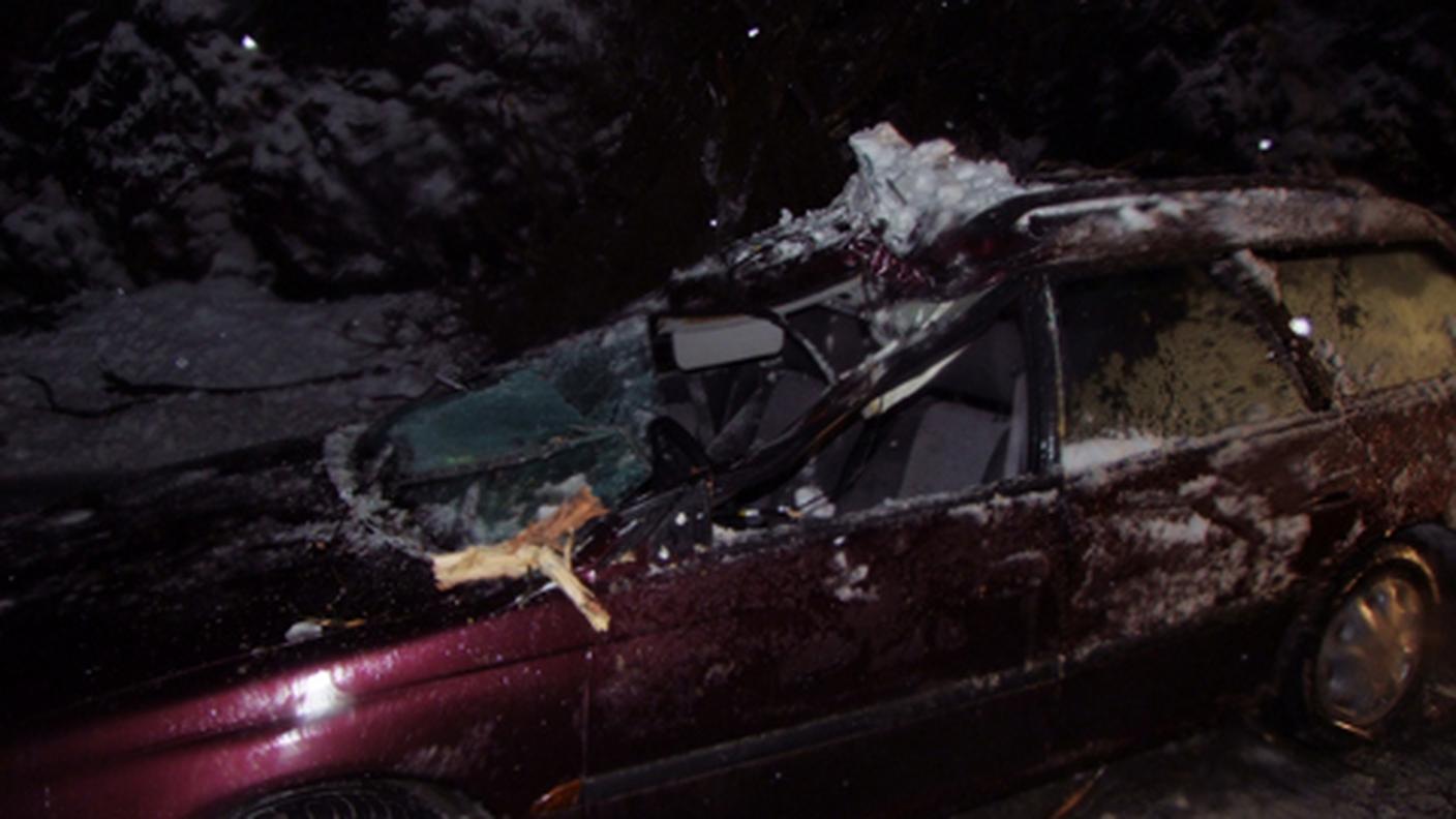 incidente albero poschiavo.jpg