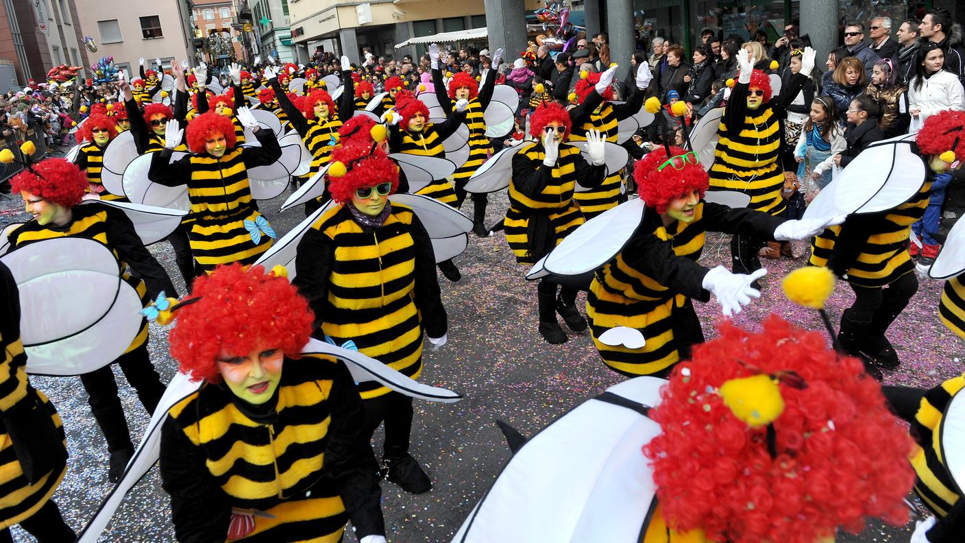 carnevale 2013 biasca tp.jpg