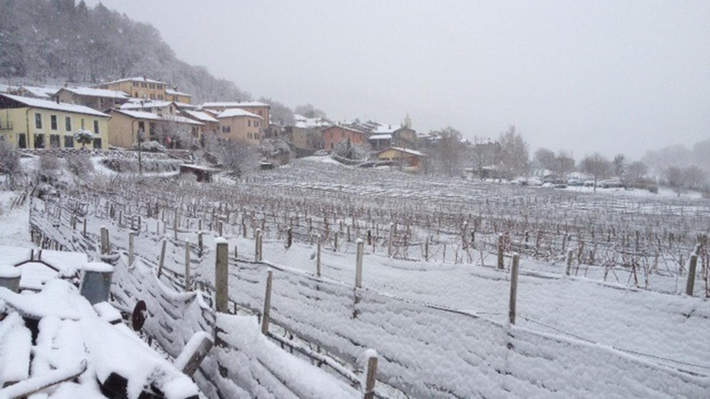 Meride sotto la neve