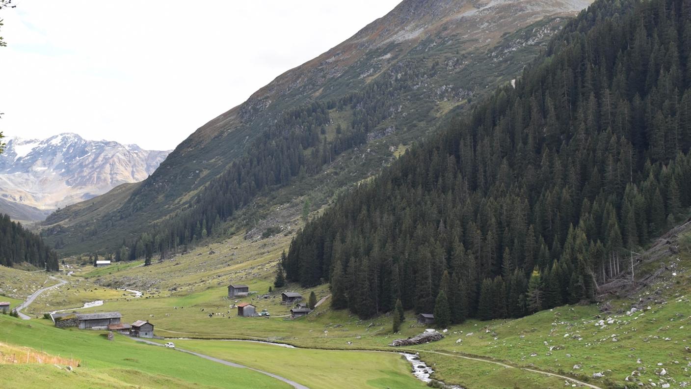 Le operazioni di ricerca non avevano dato esito