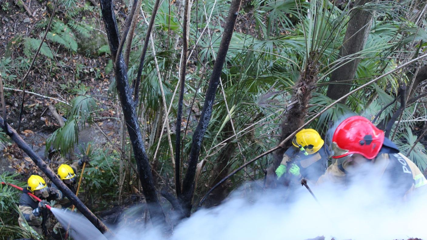 Le foto dell'incendio di venerdì mattina nel Gambarogno