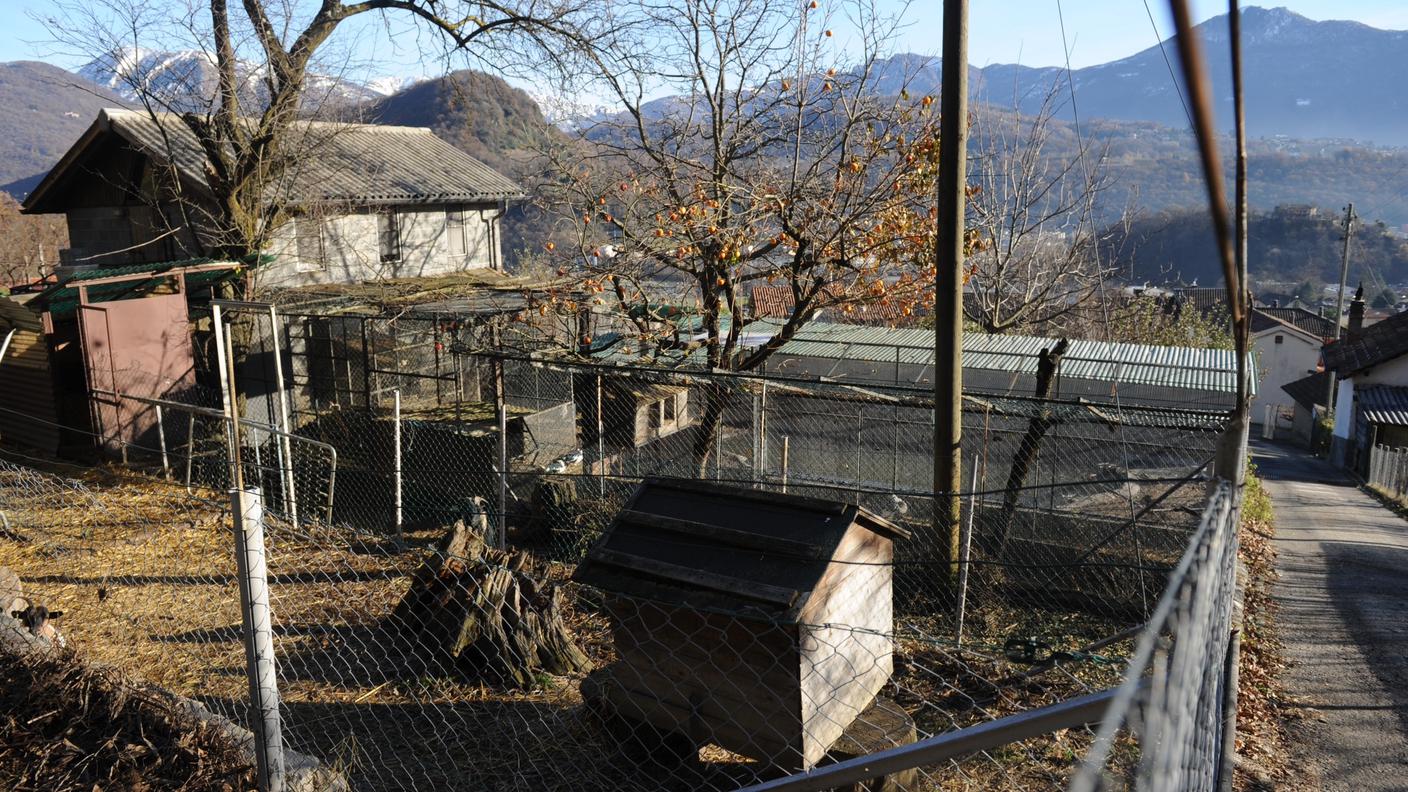 fattoria nussbaumer vuota tp 04.12.2013.jpg
