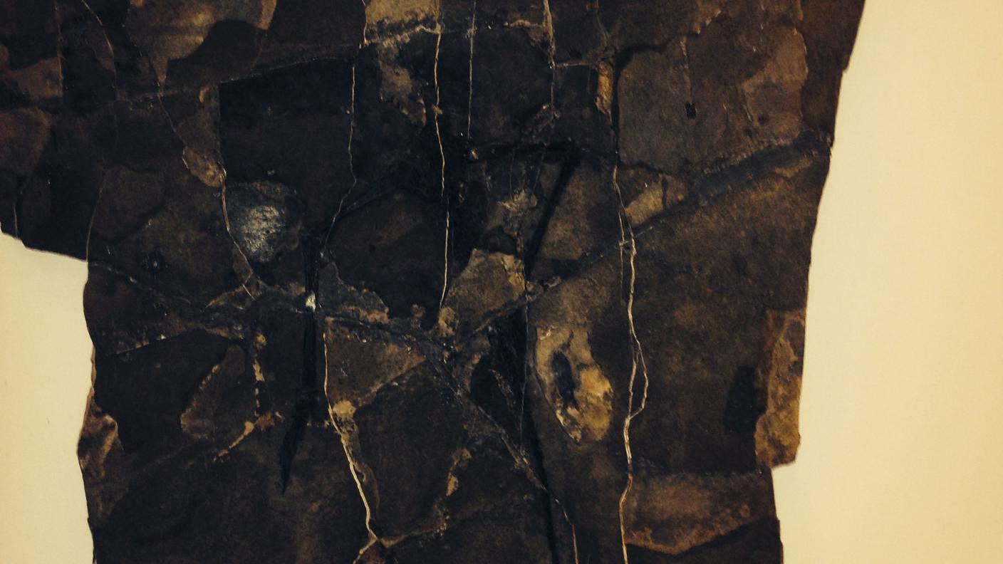 fossile grigioni 2 rsi priuli.JPG