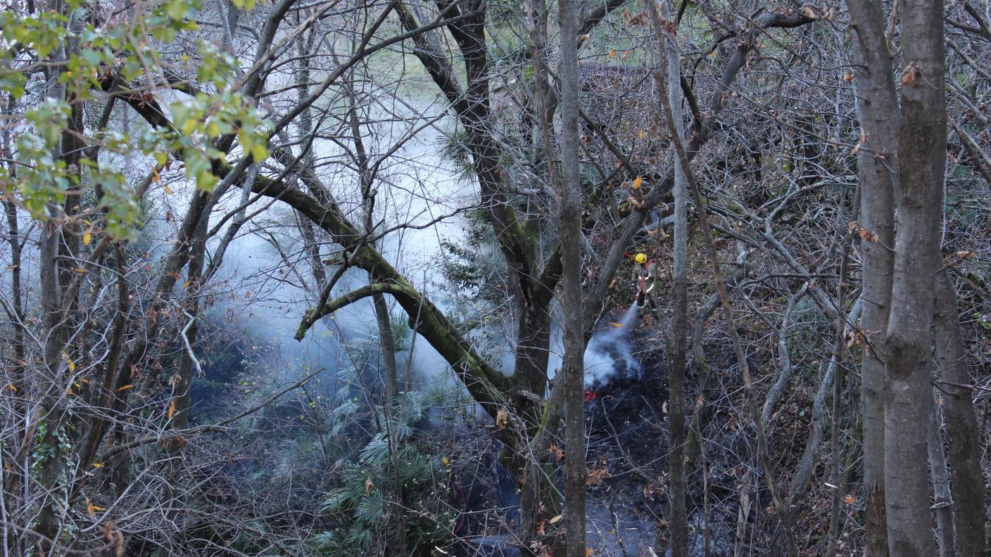 Incendio gambarogno 06.12.2013 rm 04.jpg