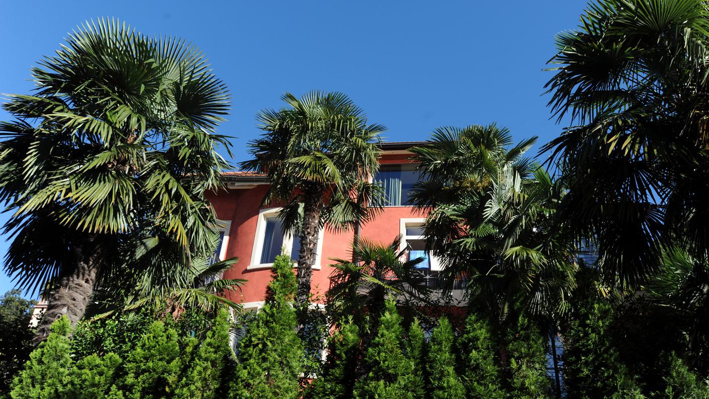 villa violetta tp.jpg