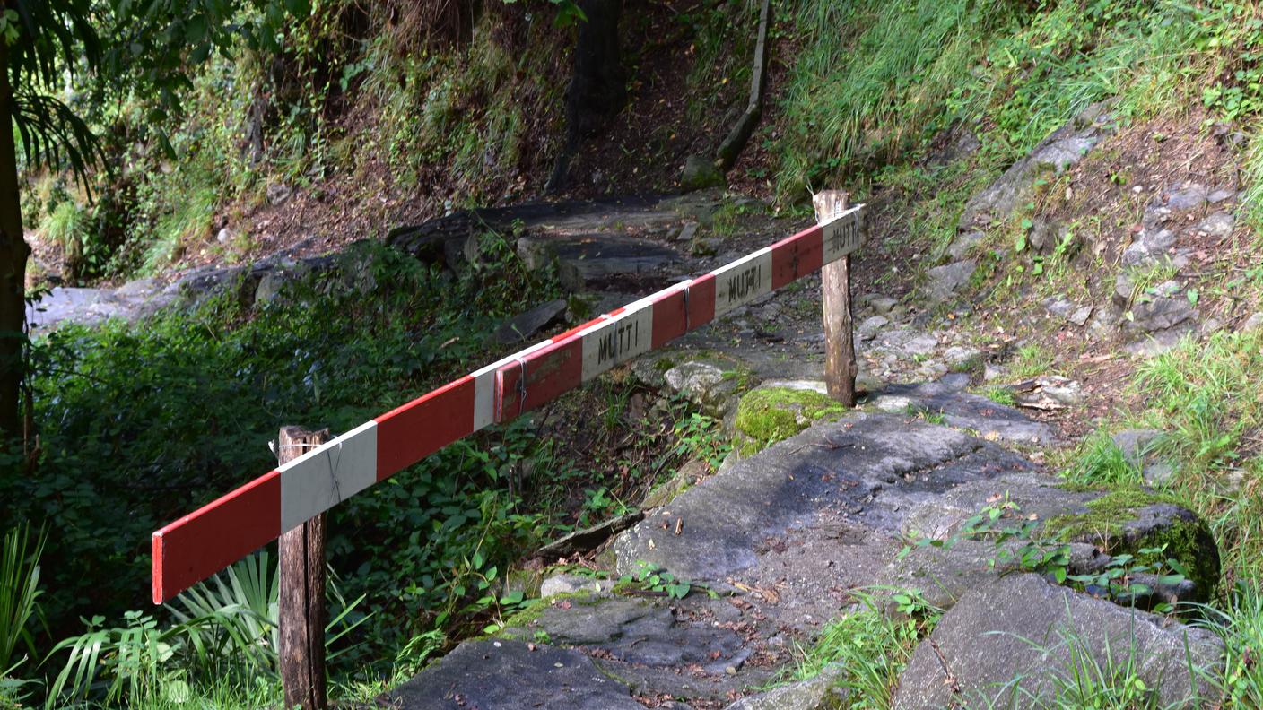 Aveva ceduto una staccionata