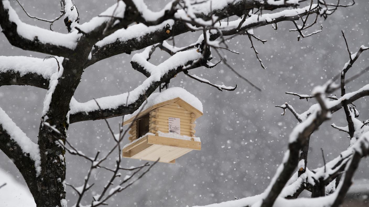 Tanta neve ad Ambrì