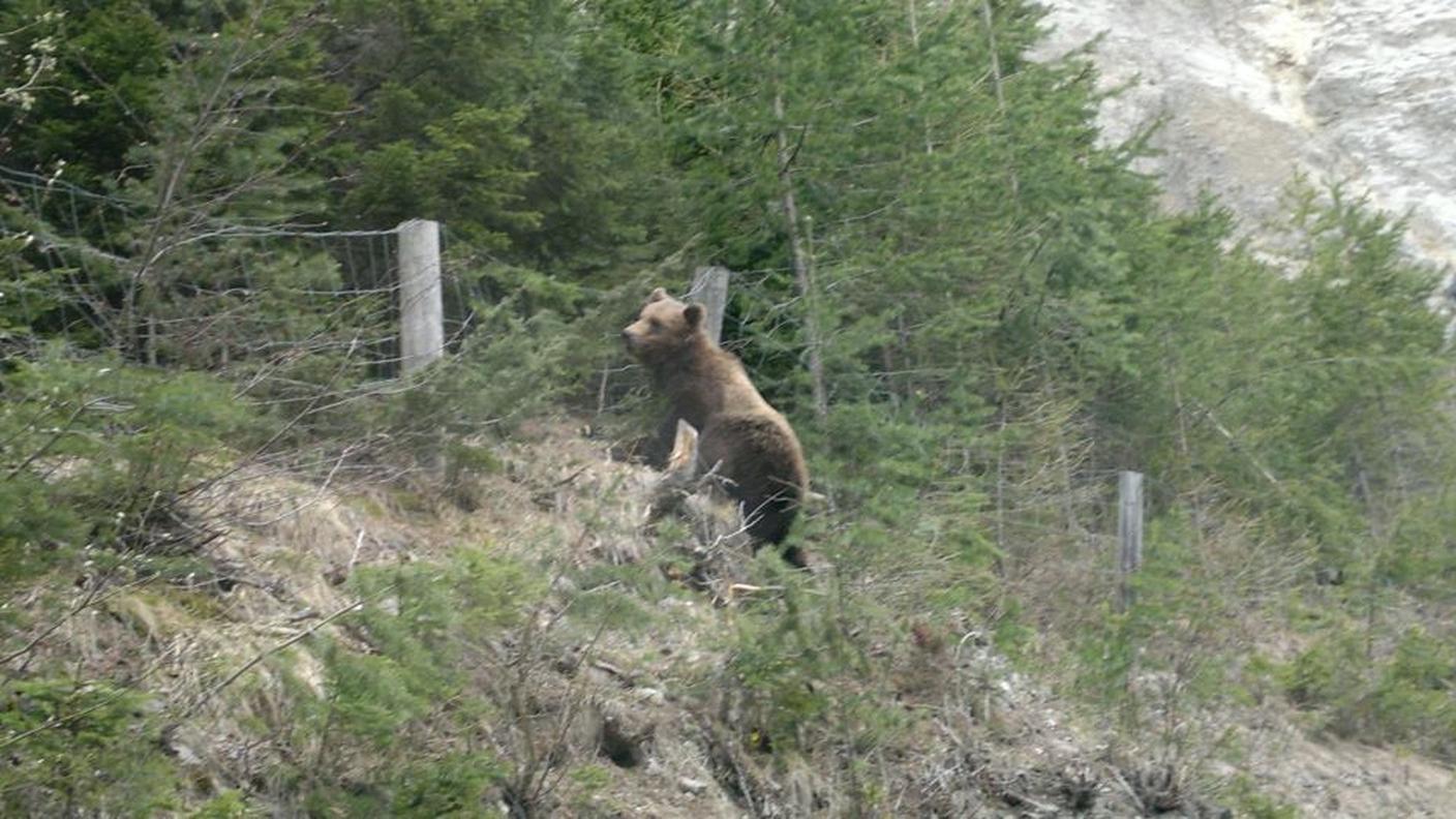 Qui in Engadina