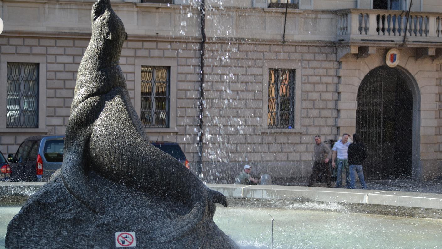 orsoline foca.jpg