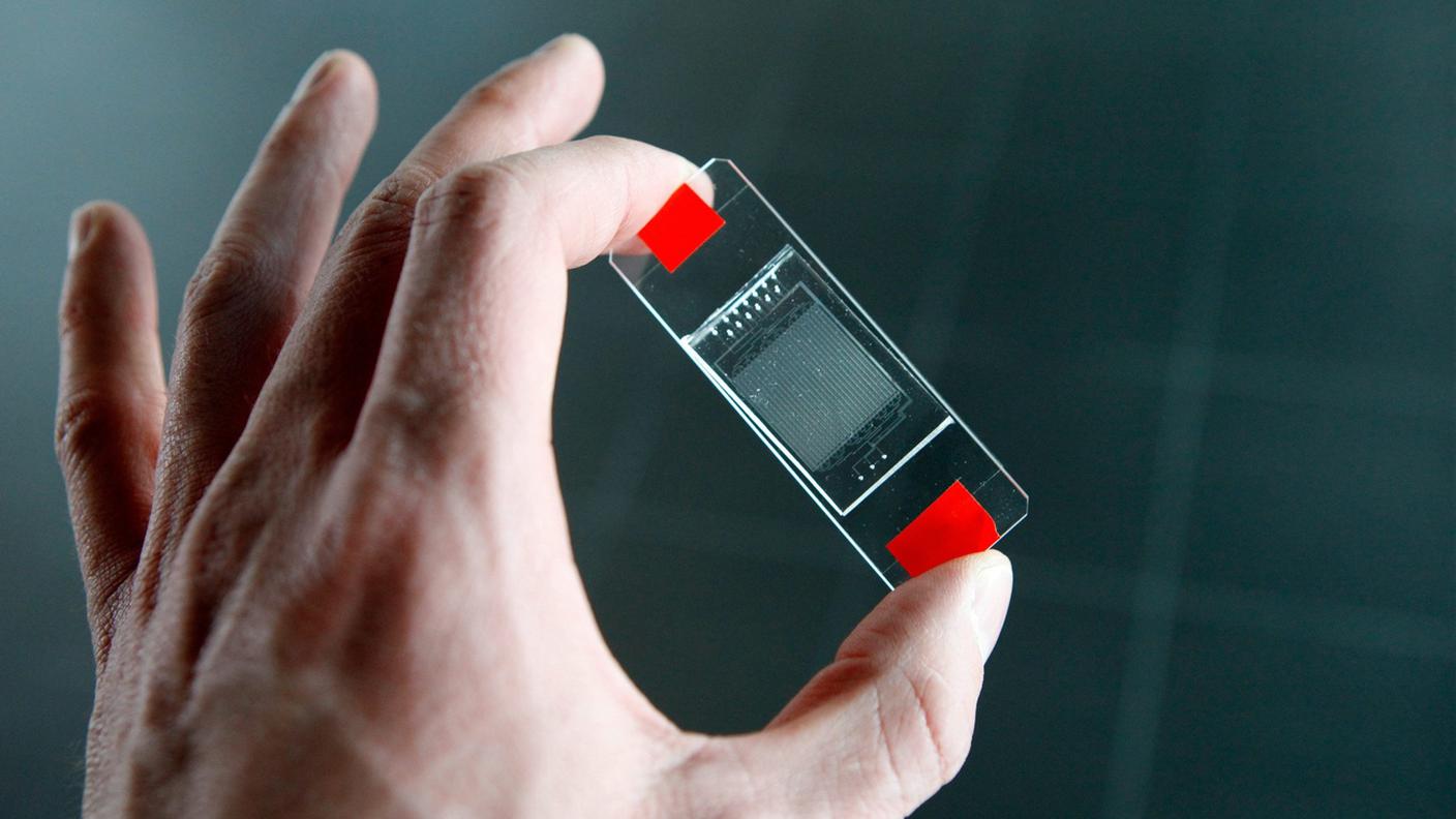 Dopo le analisi positive alla TBC è scattata un'indagine ambientale.