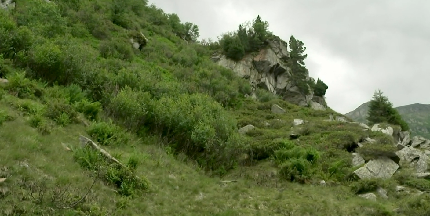 Il pendio roccioso, sull'Alp Cristallina, da cui sono caduti gli animali