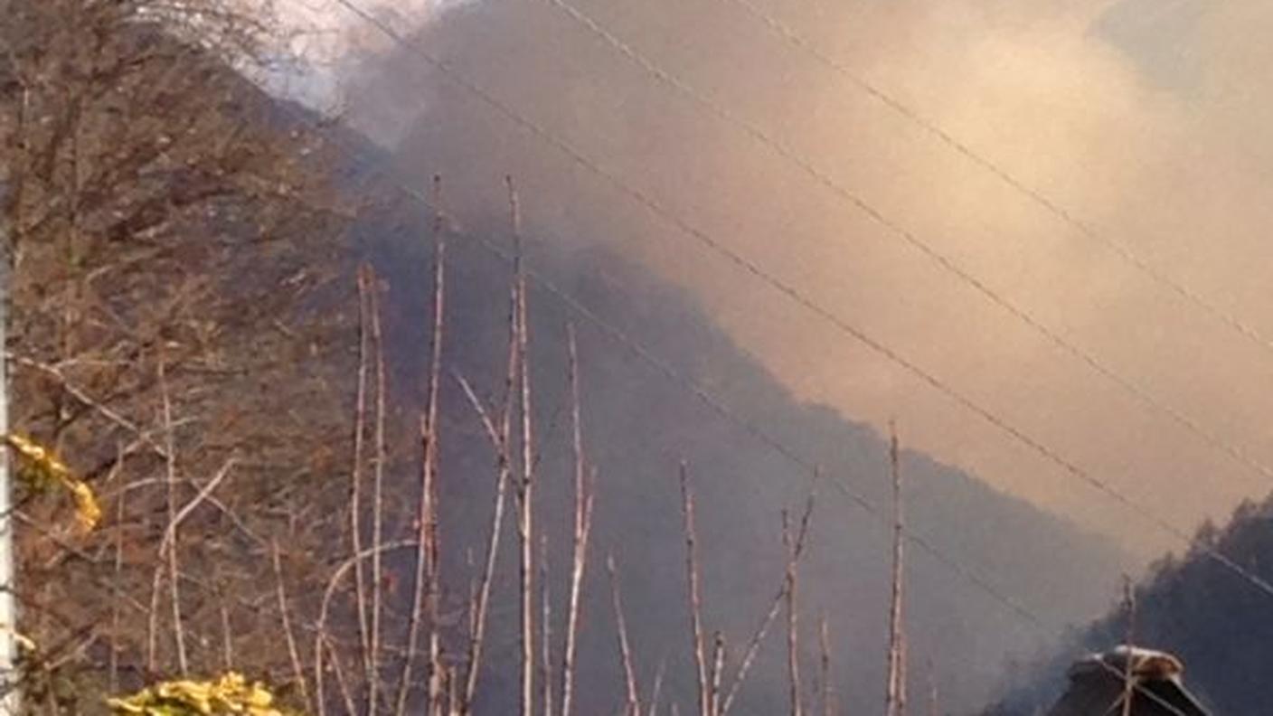 L'incendio di qualche settimana fa