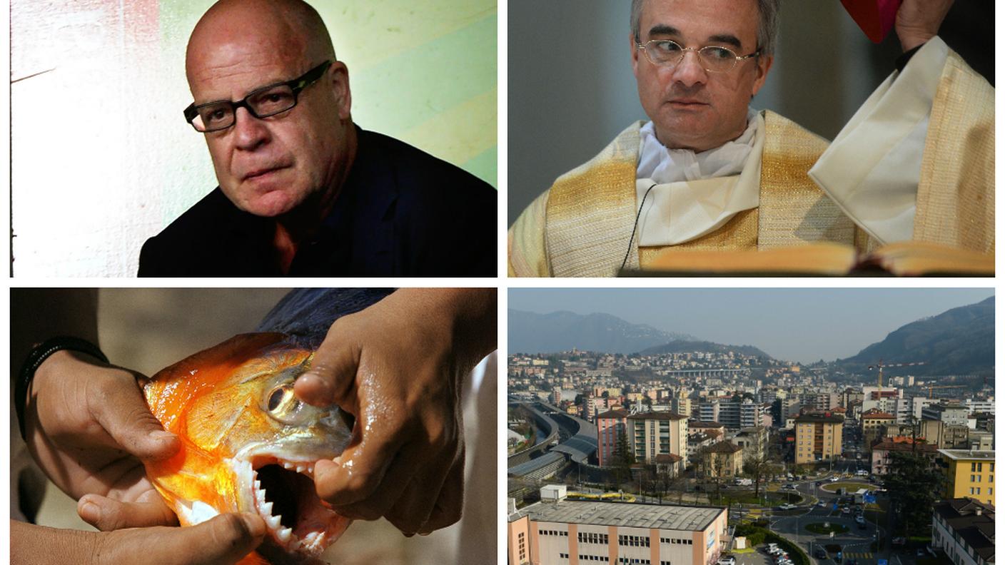 Gabriele Giulini, Valerio Lazzari, i piranha e Chiasso sono stati il soggetto di alcune delle notizie fasulle odierne