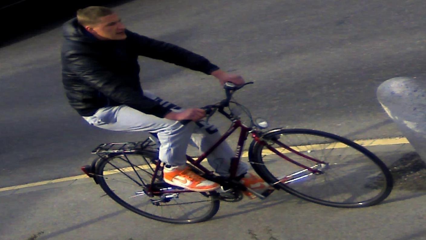 Rapinatore di Ascona 01 polcati 140326.jpg