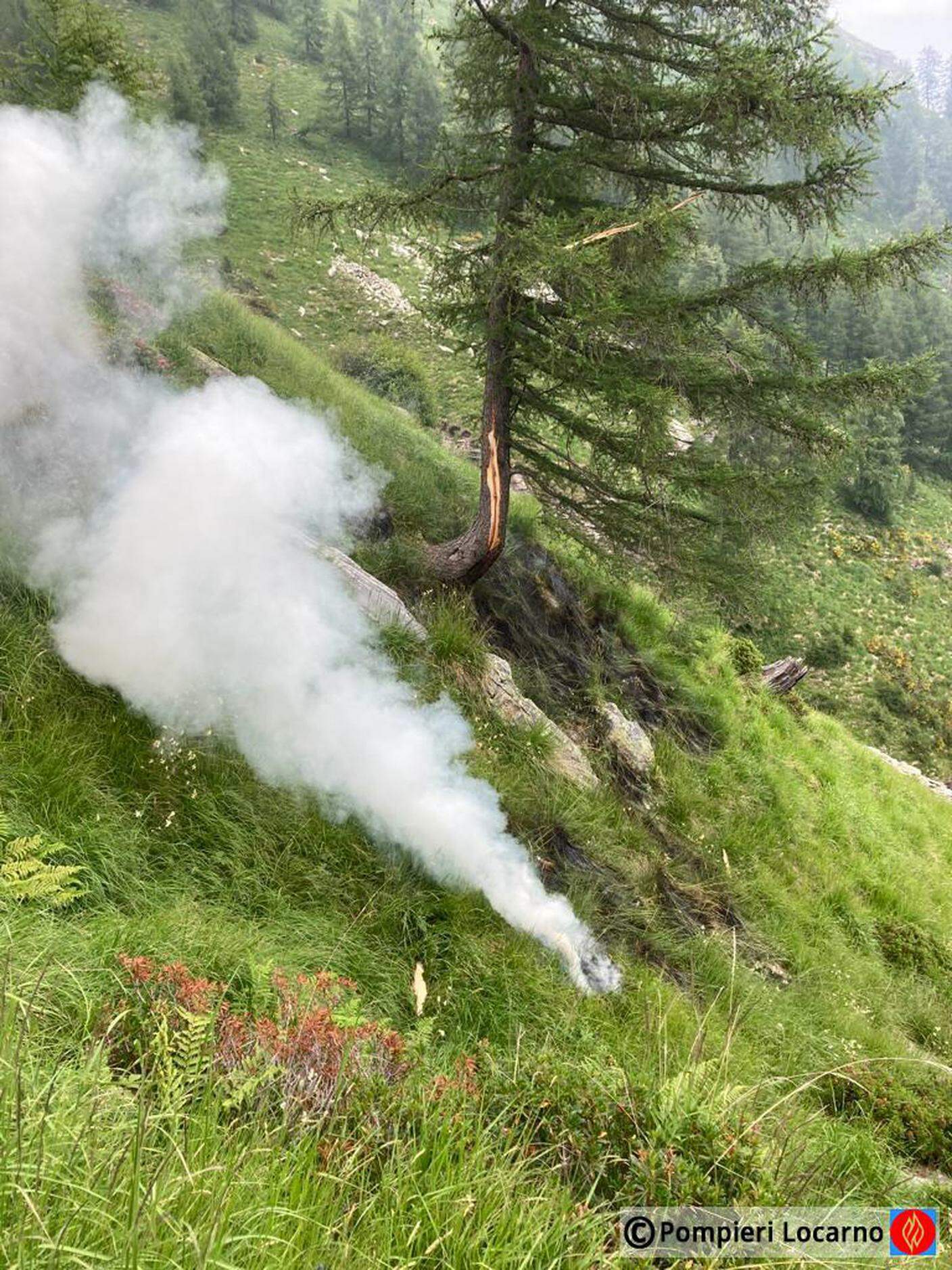 Un recente principio di incendio causato da un fulmine il 21 giugno sopra l'abitato di Loco, in zona monte Pino (Onsernone)