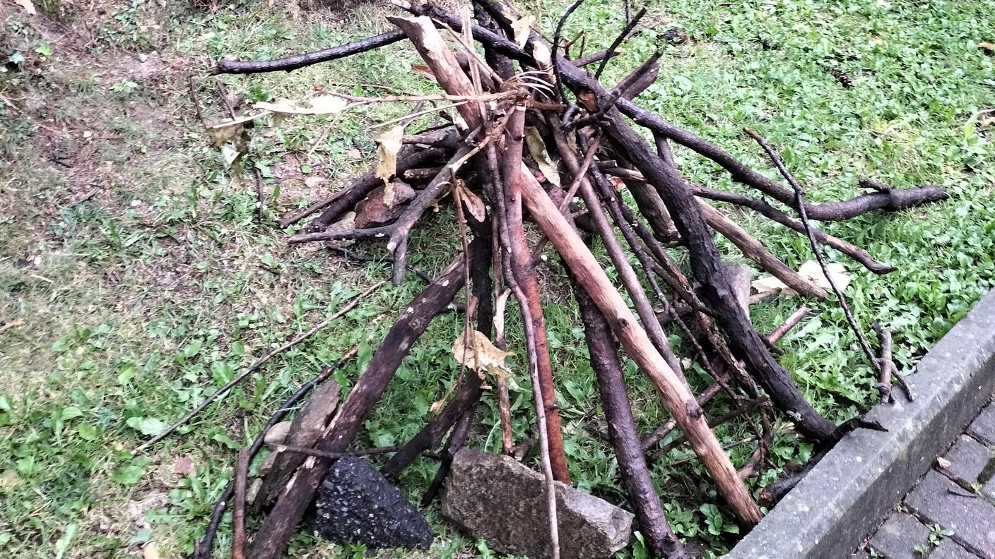 Il falò che si è tentato di accendere vicino al bosco del parco, bruciato nel marzo 2021