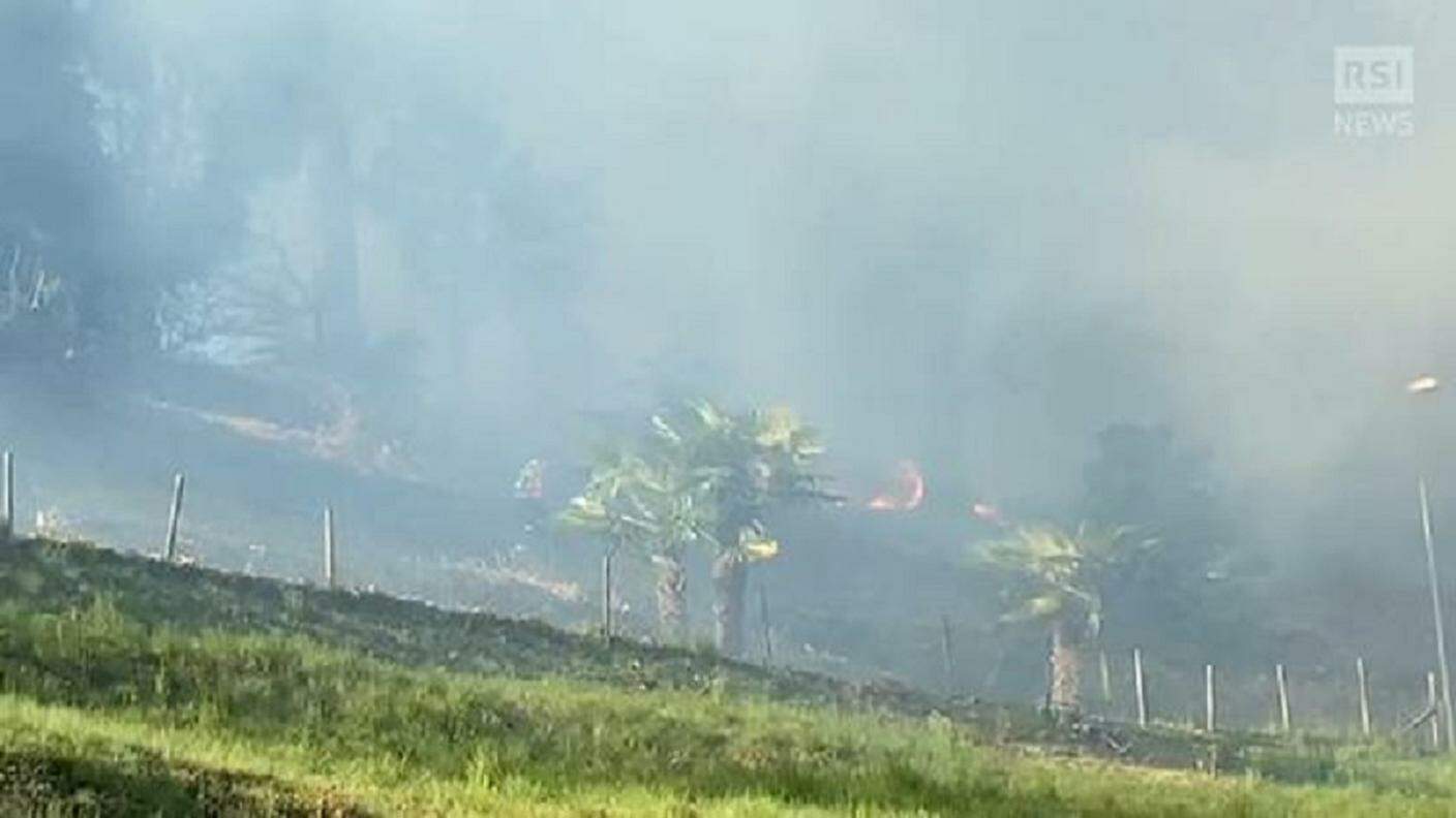 Il fumo dell'incendio che bruciò parte del bosco al Parco Vira nel marzo 2021