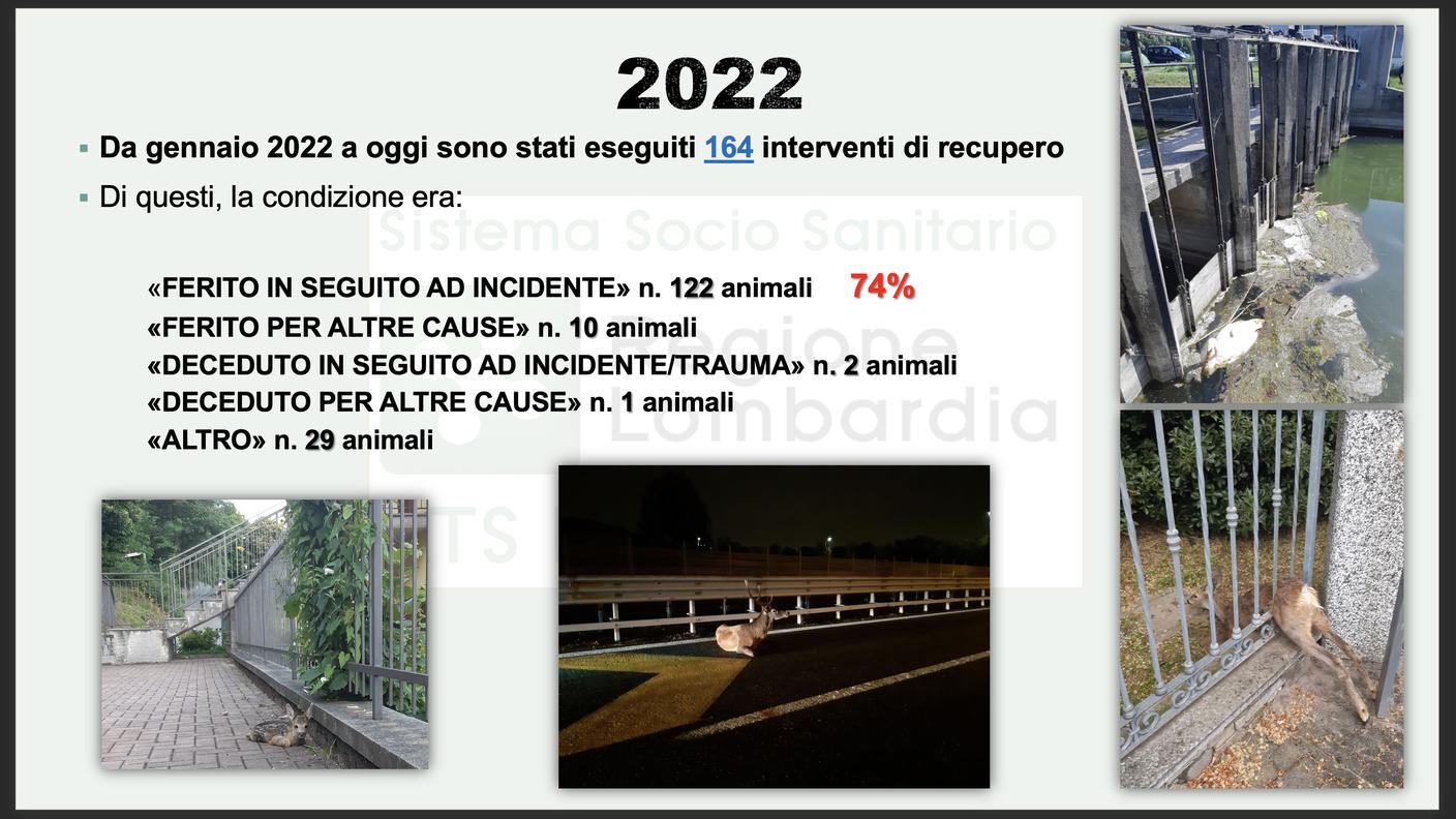 I numeri degli incidenti su strada