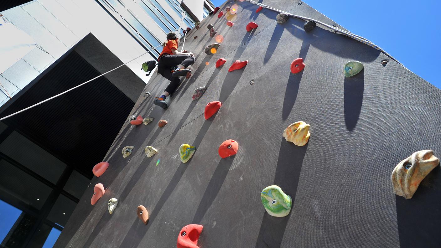 Una vera parete d'arrampicata