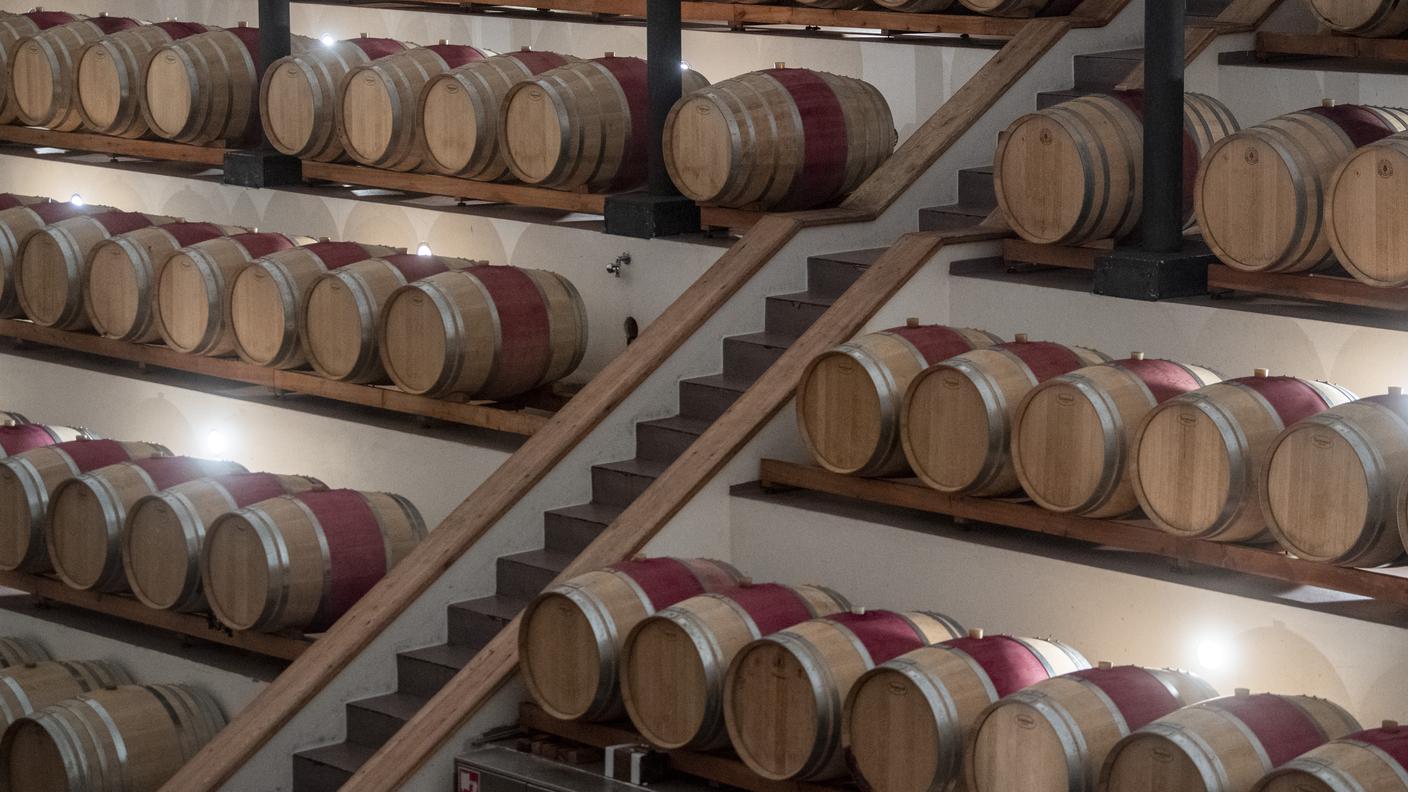 La cantina della Vinattieri Ticino a Ligornetto