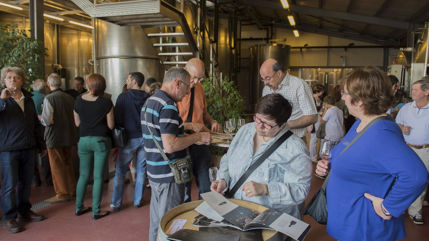 Le immagini dalle cantine ticinesi