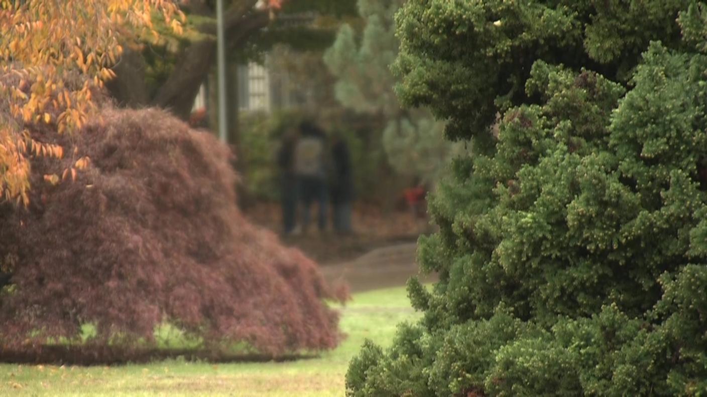 Tutta la vicenda è cominciata con l'acquisto di cocaina al Parco Ciani