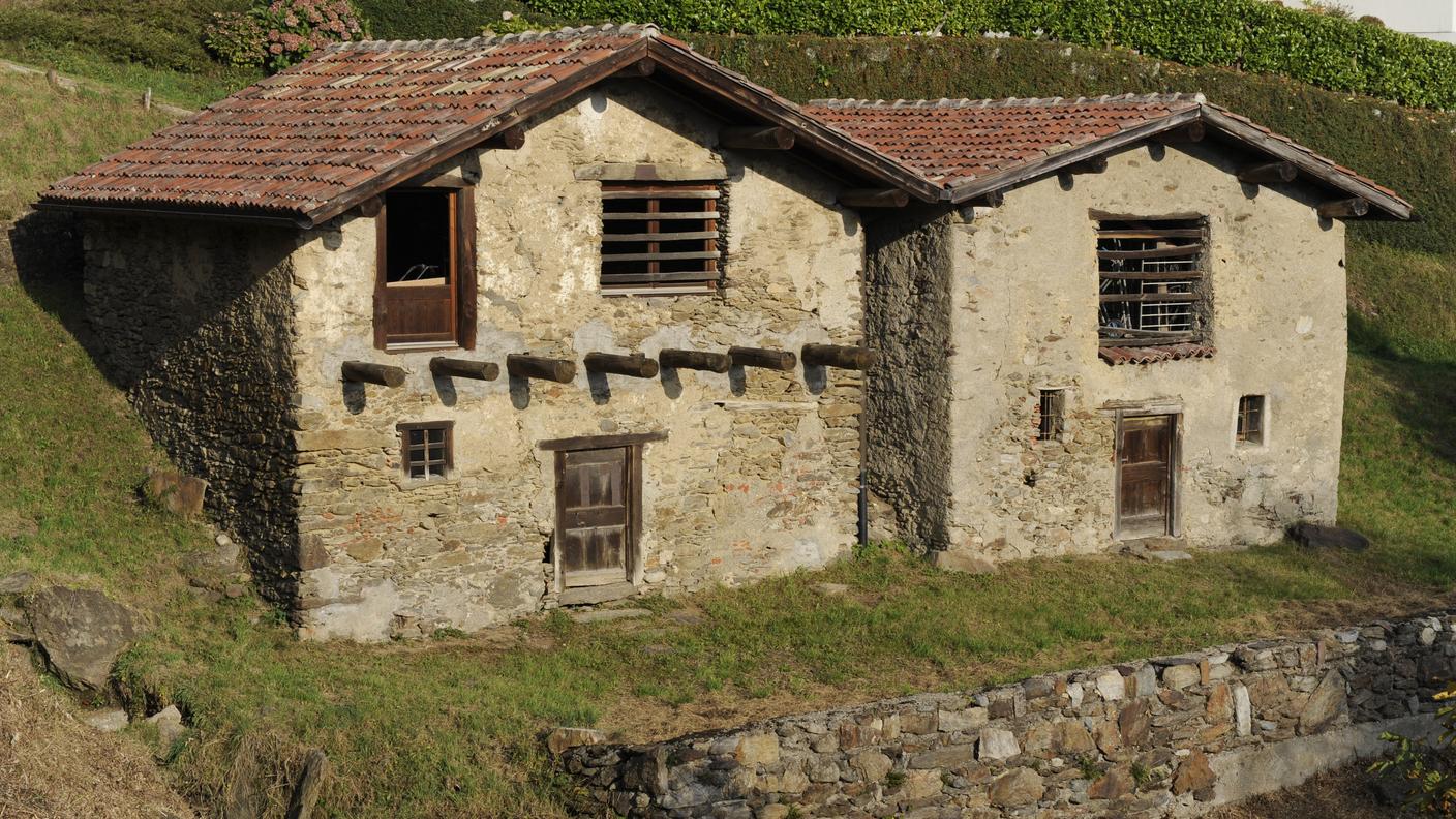 tipress_rustici_5.jpg
